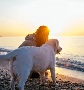 The Dog Days of Summer